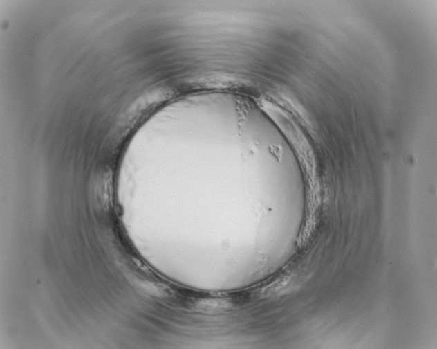 X0000088020119200706011334