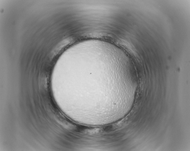 X0000088020120200706011334