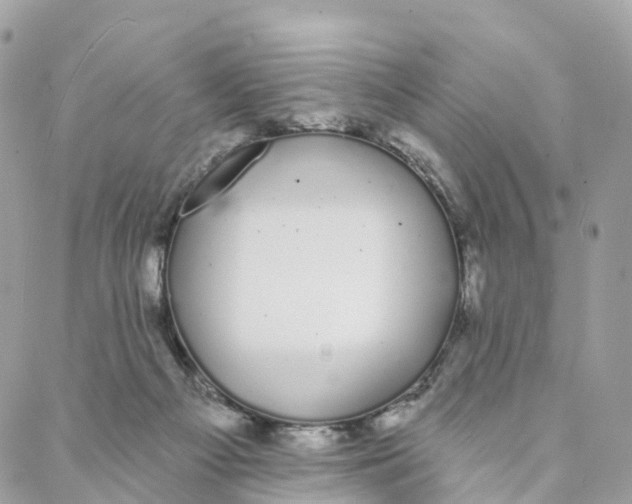 X0000088020121200706011334