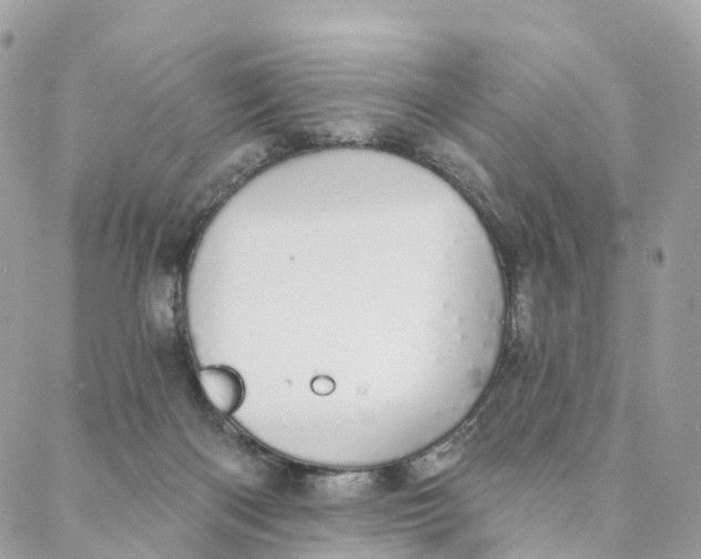 X0000088020122200706011334