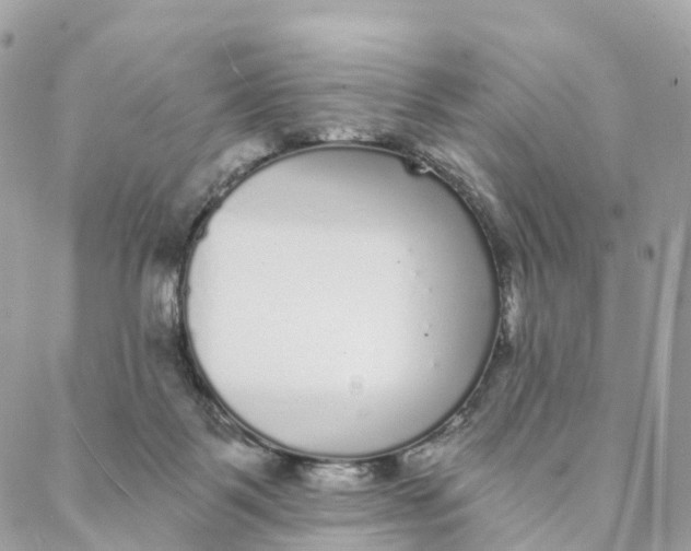 X0000088020123200706011334