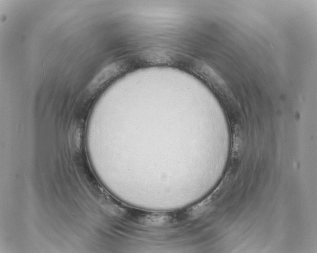 X0000088020124200706011334