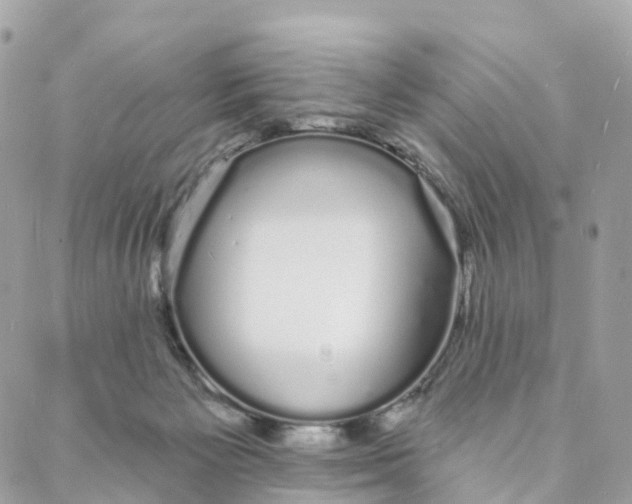 X0000088020125200706011334