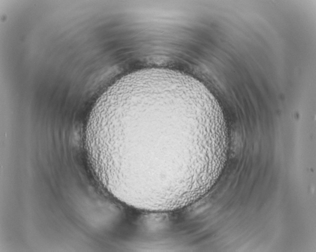 X0000088020126200706011334