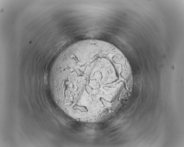 X0000088020127200706011334