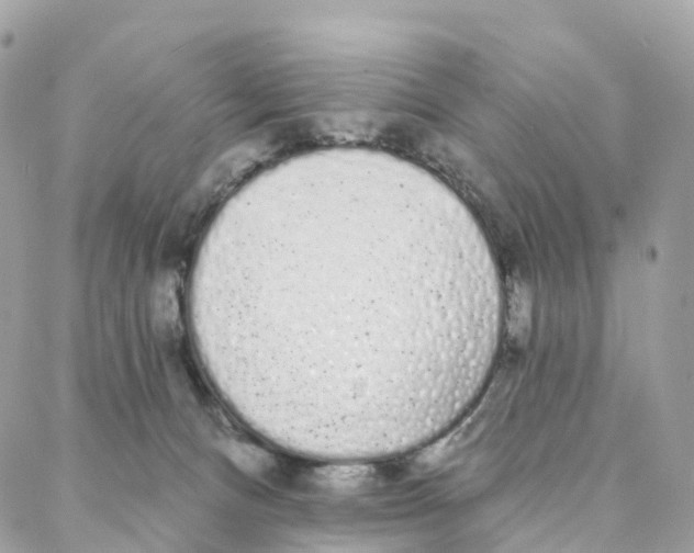 X0000088020128200706011334