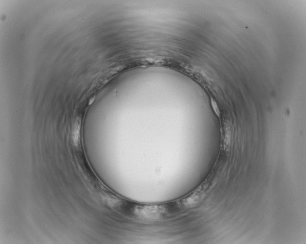 X0000088020129200706011334