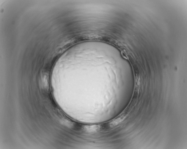 X0000088020131200706011334