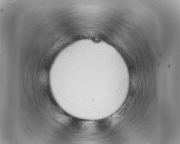 X0000088020132200706011334