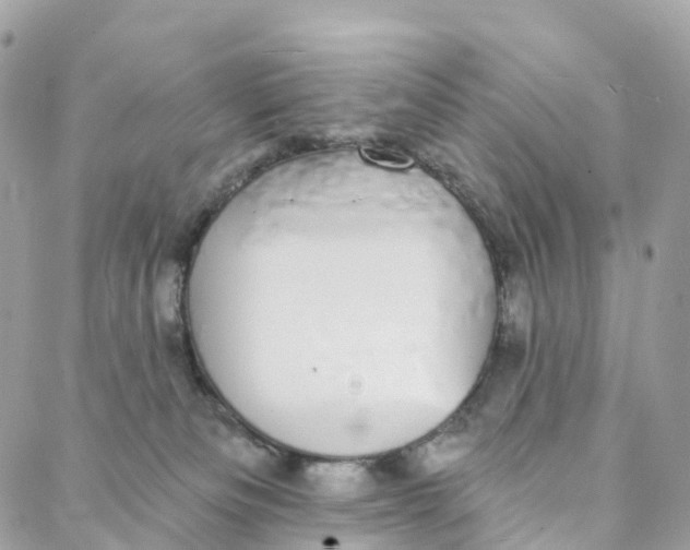 X0000088020133200706011334