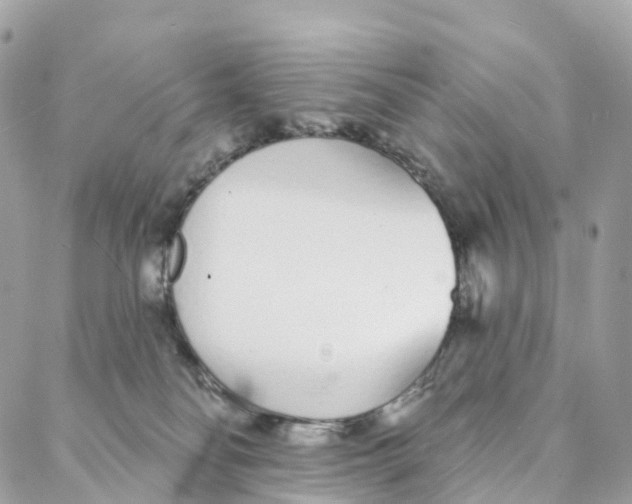 X0000088020134200706011334