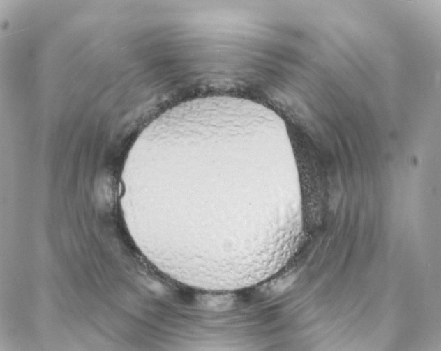 X0000088020135200706011334