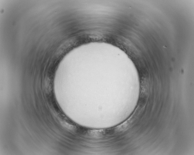 X0000088020136200706011334