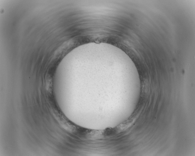 X0000088020138200706011334