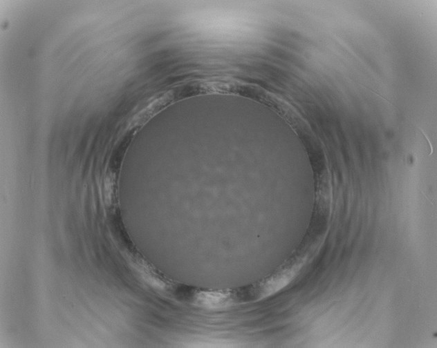 X0000088020139200706011334