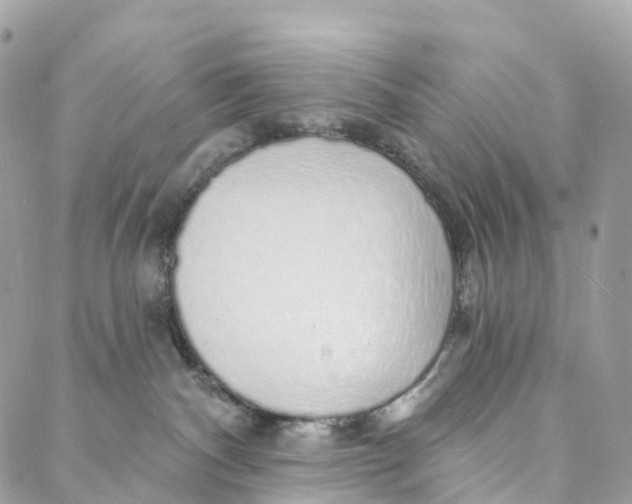 X0000088020140200706011334