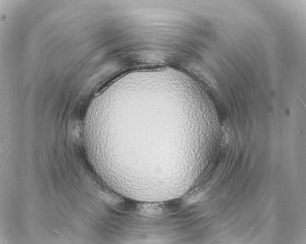 X0000088020141200706011334