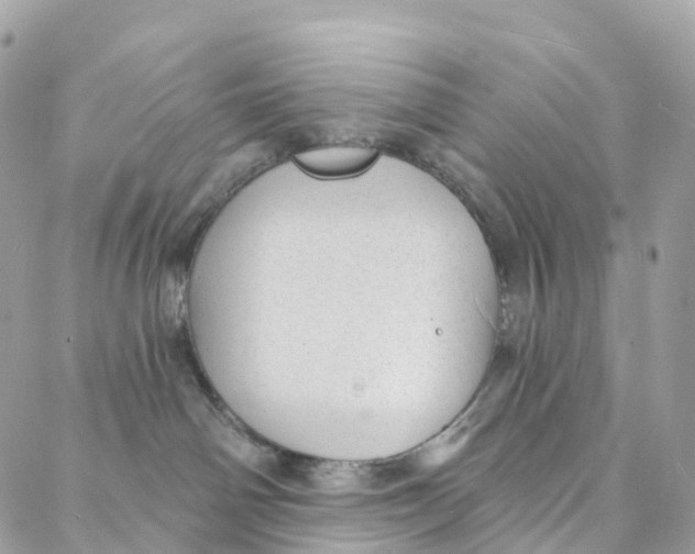 X0000088020142200706011333