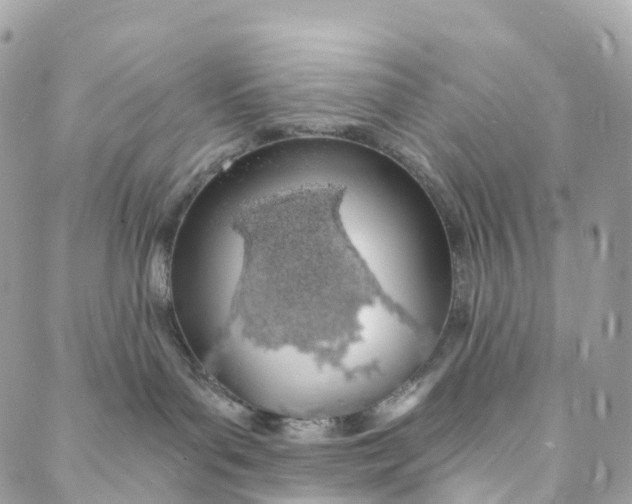 X0000088020143200706011333