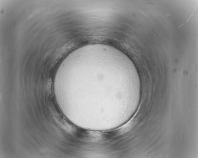 X0000088020144200706011333