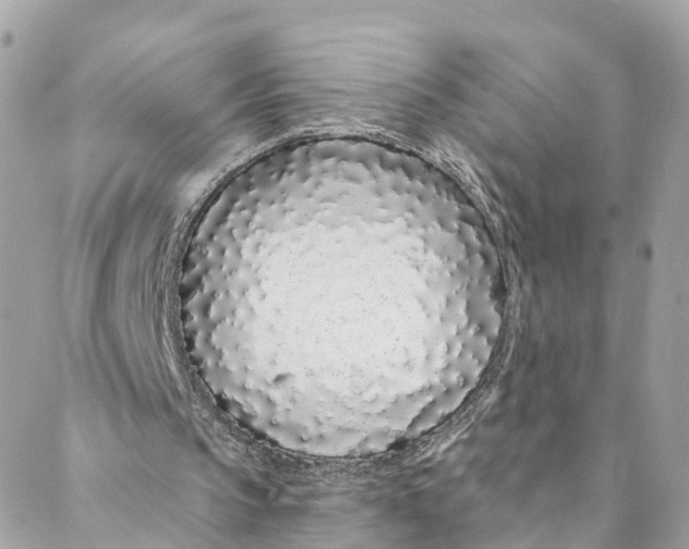 X0000088020145200706011333