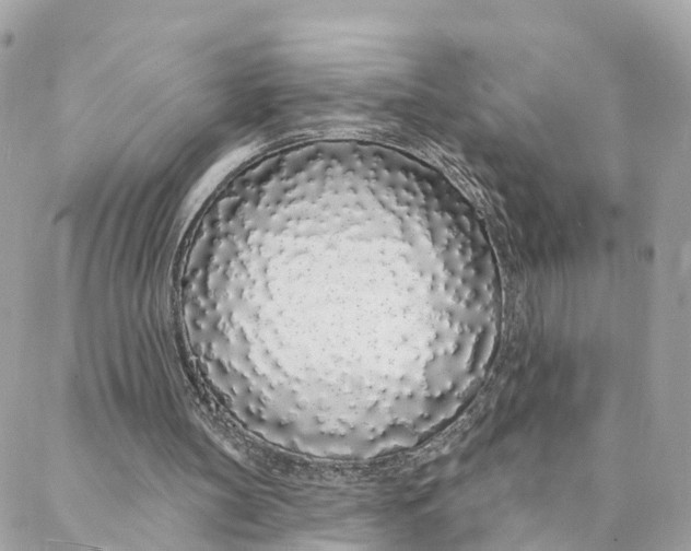 X0000088020147200706011333