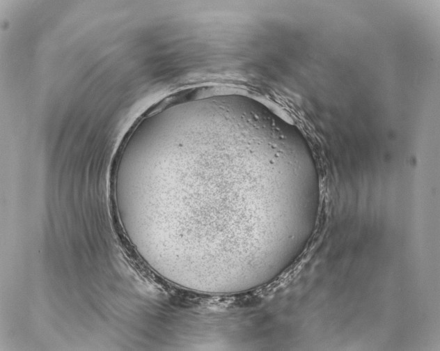 X0000088020148200706011333