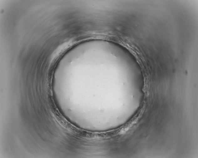 X0000088020149200706011333