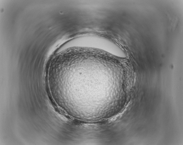 X0000088020150200706011333