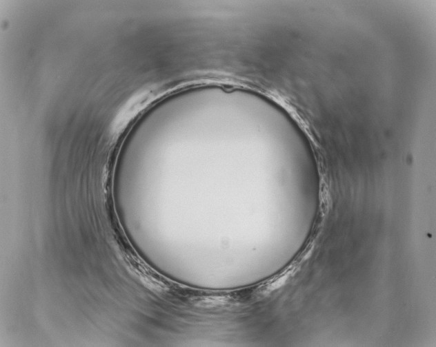 X0000088020151200706011333