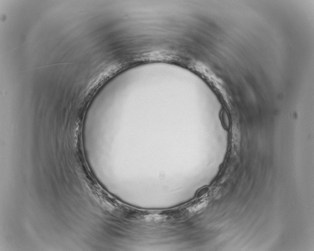 X0000088020153200706011333