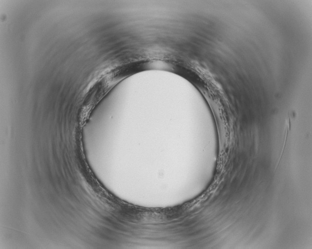 X0000088020154200706011333