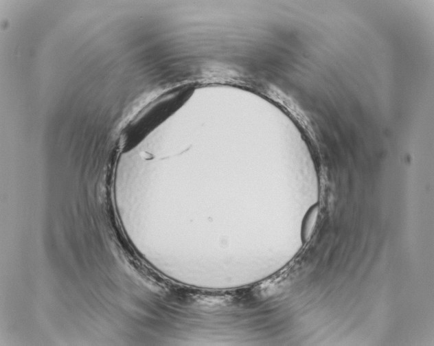 X0000088020155200706011333