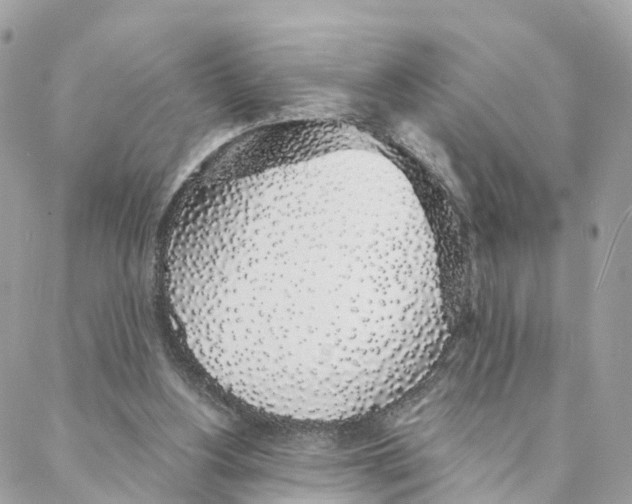 X0000088020156200706011333