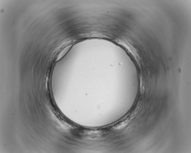 X0000088020157200706011333