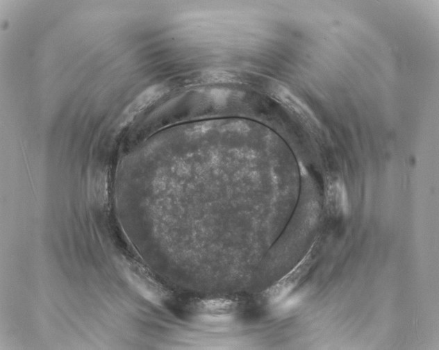 X0000088020158200706011333