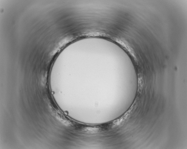 X0000088020159200706011333