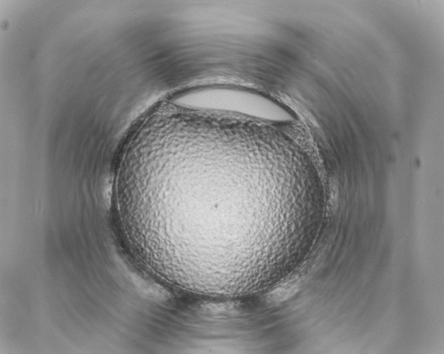 X0000088020160200706011333