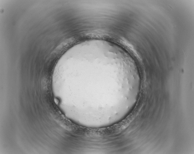 X0000088020161200706011333