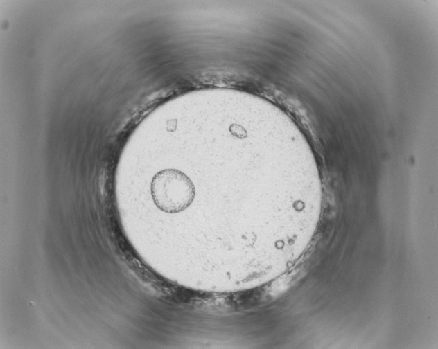 X0000088020162200706011333