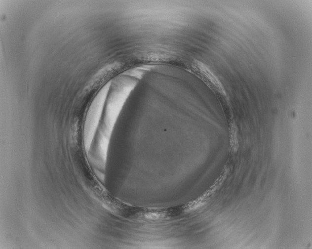 X0000088020163200706011333