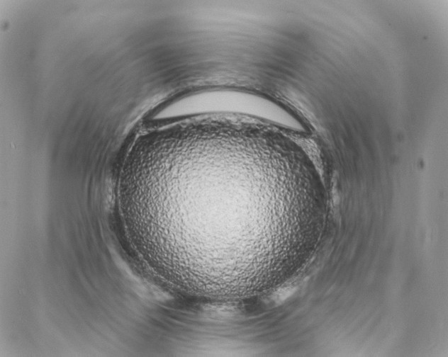 X0000088020164200706011333