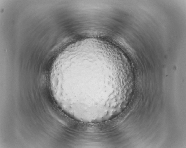 X0000088020165200706011333