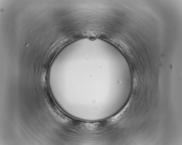 X0000088020166200706011333