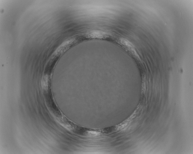 X0000088020167200706011333