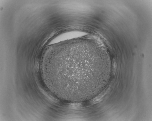 X0000088020168200706011333