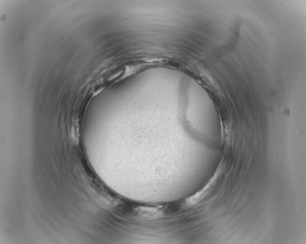 X0000088020170200706011333