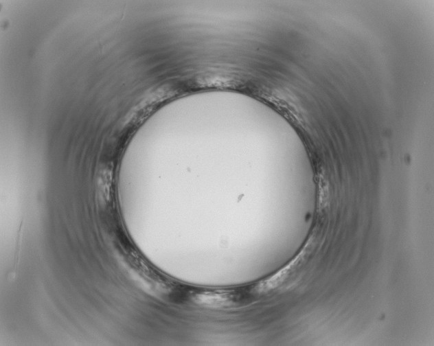 X0000088020171200706011333