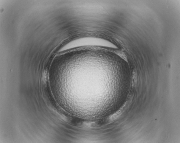 X0000088020172200706011333