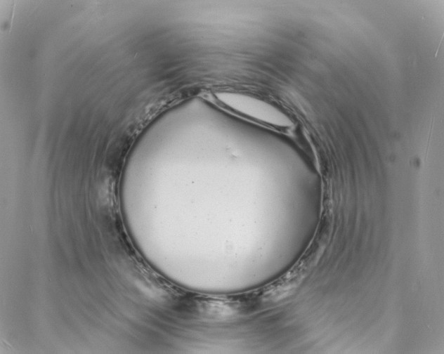 X0000088020173200706011333